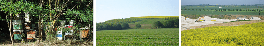 ECT_Rendre-des-terres-a-l-agriculture