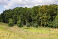 Préservation de la biodiversité, zones boisées, prairies fleuries, des milieux humides