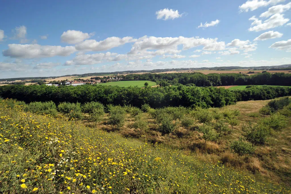 Vergers et agriculture sur le site ECT à Villeneuve sous Dammartin - Orchards and farming on the ECT site at Villeneuve sous Dammartin