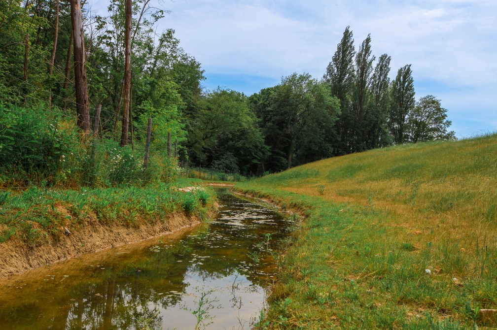 Fossés de stockage et d'infiltration des eaux sur le site de Grisy-Suisnes (77) - Water storage and infiltration ditches at the Grisy-Suisnes site (77)