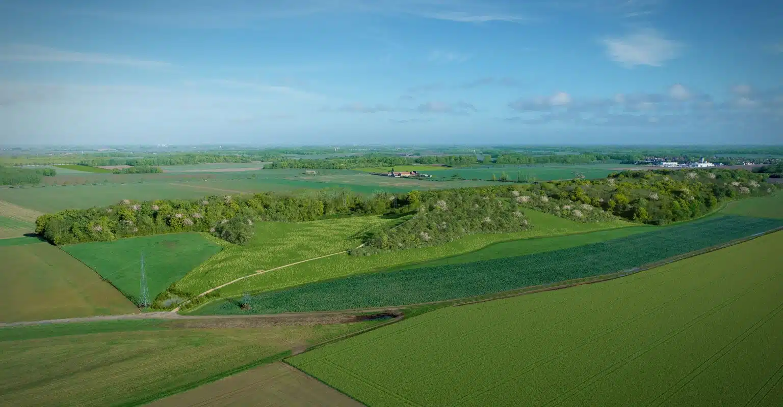 Insertion paysagère, du parc paysager de Vaux-le-Pénil - Landscape integration of the Vaux-le-Pénil landscape park