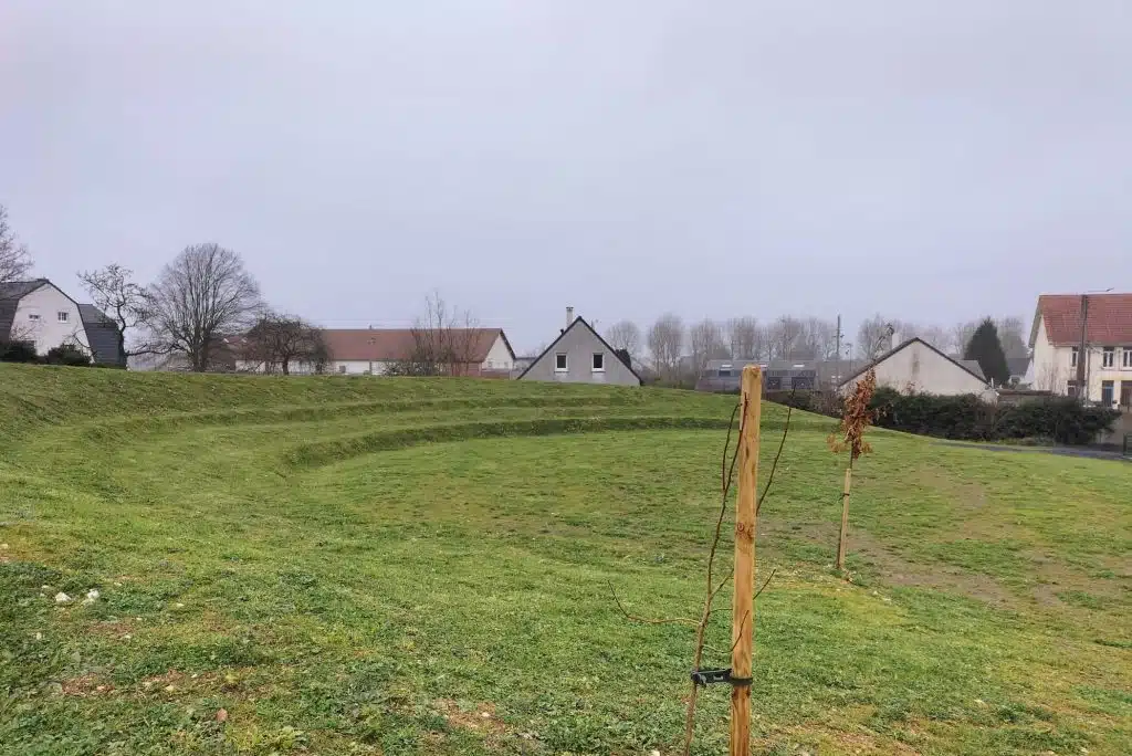 Réalisation gradins végétalisés